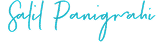 Director Signature
