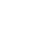 PDF Icon
